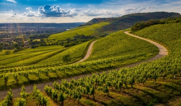 Erasmus v Maďarsku: Kam na výlet počas štúdia?